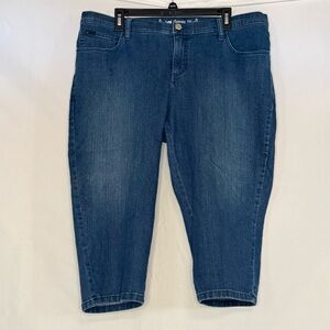 Lee’s Classic Women’s Blue Jeans Plus Size 16W Medium Wash | EUC